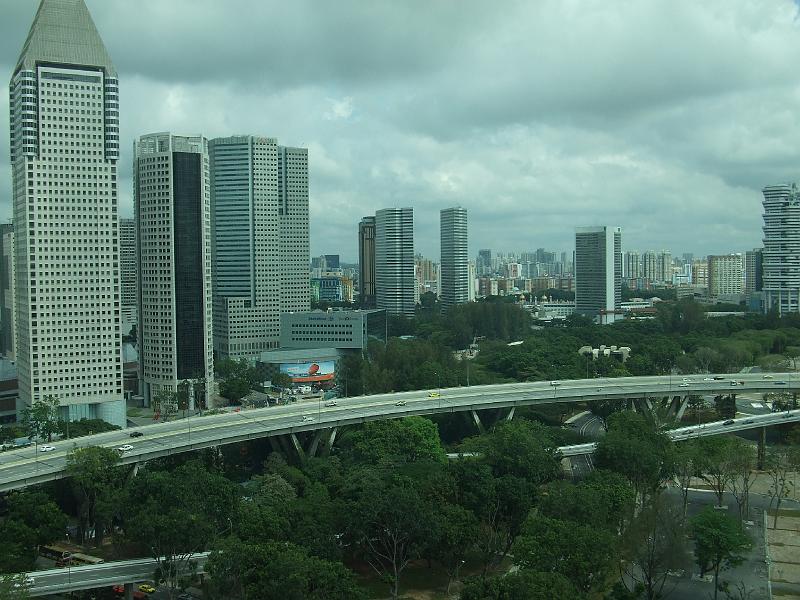 Singapore Flyer (1)